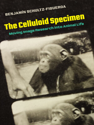 cover image of The Celluloid Specimen